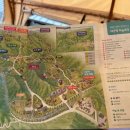 삼각초등학교 | 강원도 갈만한 곳 대관령 하늘목장 애견동반 가능 후기