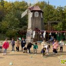 숲어린이집 이미지