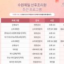 수원제일스파테라피 이미지