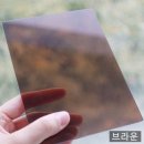 제주캐노픽스 이미지