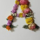 러블리안 이미지