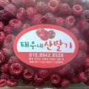 백용기농장 이미지