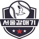 서울갈매기