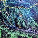 상관 공기마을 편백숲 이미지