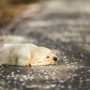 화폐박물관 이미지