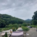 수동길 170 캠핑 이미지