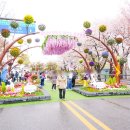 여의도 벚꽃축제 윤중로 벚꽃 푸드트럭 데이트