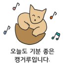 리포즈에스테틱