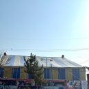 동춘서커스 공연장 | [대부도 가볼만한곳/내돈내산]101년의 역사 동춘서커스 후기