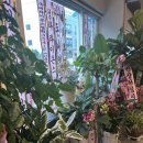 남도술상 서구청점 이미지