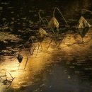 하나로 행정사 이미지