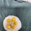 연밥 이미지
