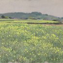 제주현대미술관 이미지