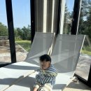 스테이21 | 청주 근교 풀빌라 추천 ! 진천 스테이 산21 내돈내산 솔직후기