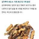 삽주 이미지