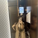 삼호(태권도) | 영유 7세 2년차 오픈클래스 학부모 참관 후기