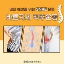 바른자세척추운동(SNPE) 이미지