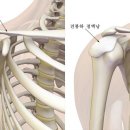 굿닥터정형외과의원 이미지