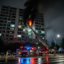 사하구-13 이미지