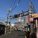 노세노세 | 노세노세용산에서 노세 / 고로고로 / 글라쇼 용산 / 내돈내산 후기