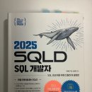 비전공자의 현실적인 SQLD 2트 합격 후기(feat. 고래책 & 노랭이)