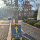 용인대학교 박물관 이미지