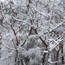 권선3공원 이미지