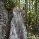 영주강동리마애보살입상 이미지