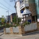 조항농로 네이버블로그
