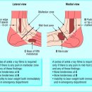황금나무한의원 이미지