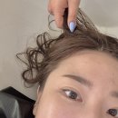롯데미용실 | 서면미용실 롯데백화점 마제스티헤어 두피케어 클리닉 후기
