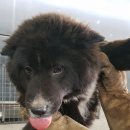 죽백2길 이미지