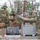 곡성-239 이미지