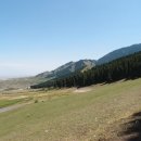 남산목장 이미지