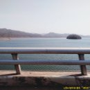 신애낚시터 | 경기도 양평 오빈낚시터, 신애낚시터 탐방 후기