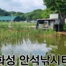 안석낚시터 이미지