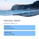 드라이브 이미지