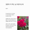 점쟁이 저 죽는 날 모른다는데 이미지