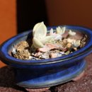 친정집민박 이미지