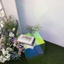 인누온 | 쉿 몽환의 숲