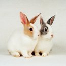 부천역사(주) 이미지