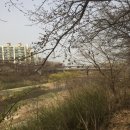 주정차032 이미지