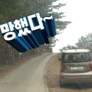 슬프면서도 슬프지 않은 도로주행 후기. . .