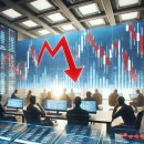 오늘의 미 이미지