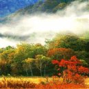 옹달샘분수 이미지