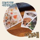 월드비전 어린이집 | [수원/곡반정동] 곡반정동카페 미크레, 유기농 수제쿠키로 어린이집답례품으로 딱이에요
