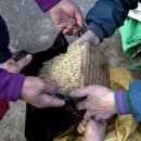 장터사람들 이미지