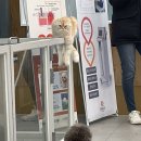 24시 더블유 동물의료센터 이미지