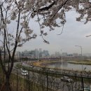 송정둑길 이미지