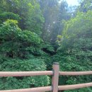 원주굽이길 6코스 고바우길 이미지